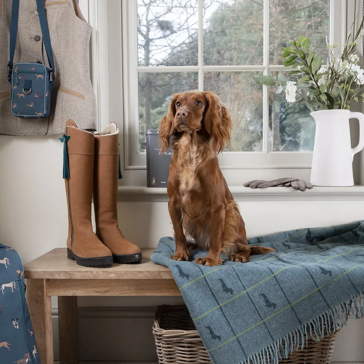 Dachshund Wool Knitted Throw
