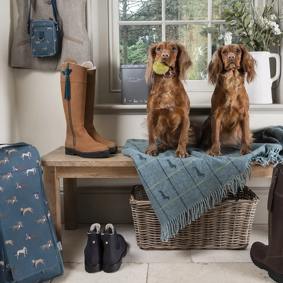 Dachshund Wool Knitted Throw